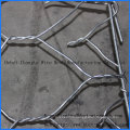 High Quality Electric and Hot Galvanized Gabion Wire Mesh